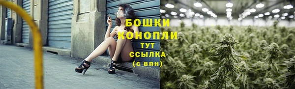 СК Нефтегорск